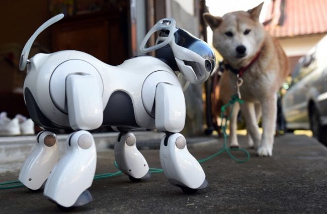 Фото - Sony выпустит обновлённую версию легендарного робота Aibo
