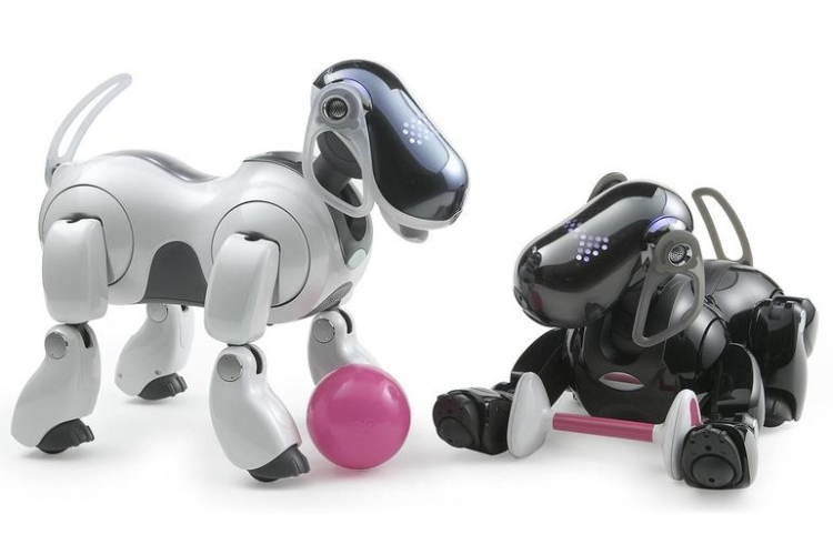 Фото - Sony готовит к выпуску обновлённого робота-собаку AIBO с поддержкой ИИ»