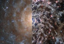 Фото - Телескоп «Джеймс Уэбб» показал скрытые структуры галактики IC 5332 — их не смог разглядеть «Хаббл»