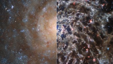 Фото - Телескоп «Джеймс Уэбб» показал скрытые структуры галактики IC 5332 — их не смог разглядеть «Хаббл»