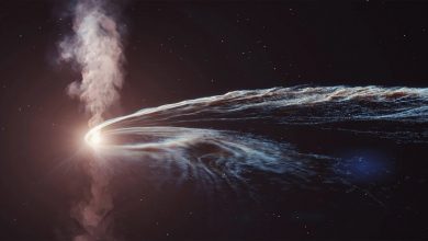 Фото - Чёрная дыра неожиданно стала отдавать материю звезды через несколько лет после её поглощения — учёные такое наблюдают впервые